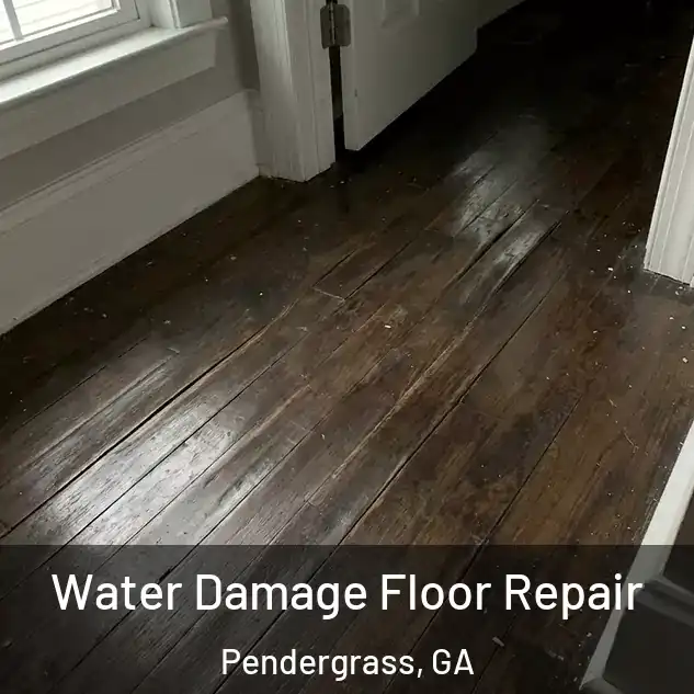  Water Damage Floor Repair Pendergrass, GA