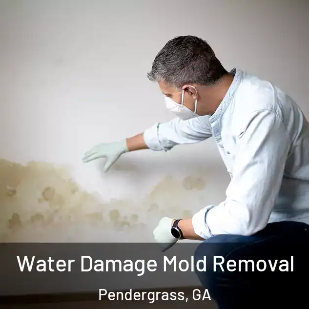  Water Damage Mold Removal Pendergrass, GA