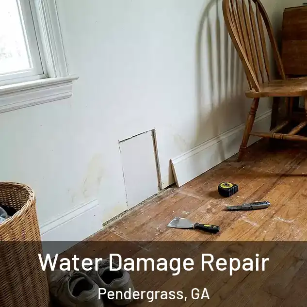 Water Damage Repair Pendergrass, GA