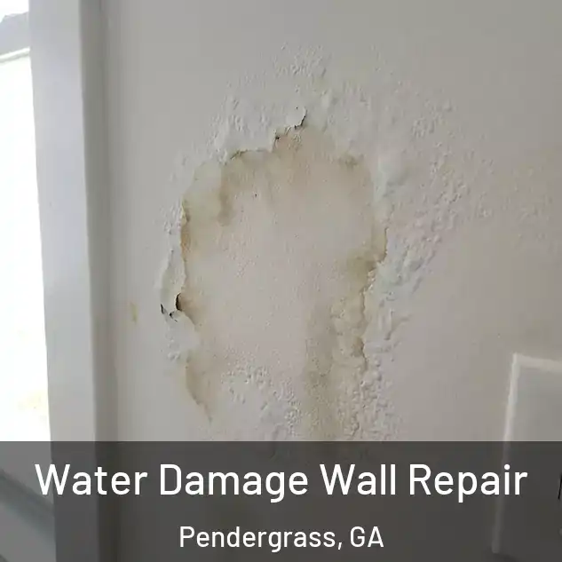  Water Damage Wall Repair Pendergrass, GA
