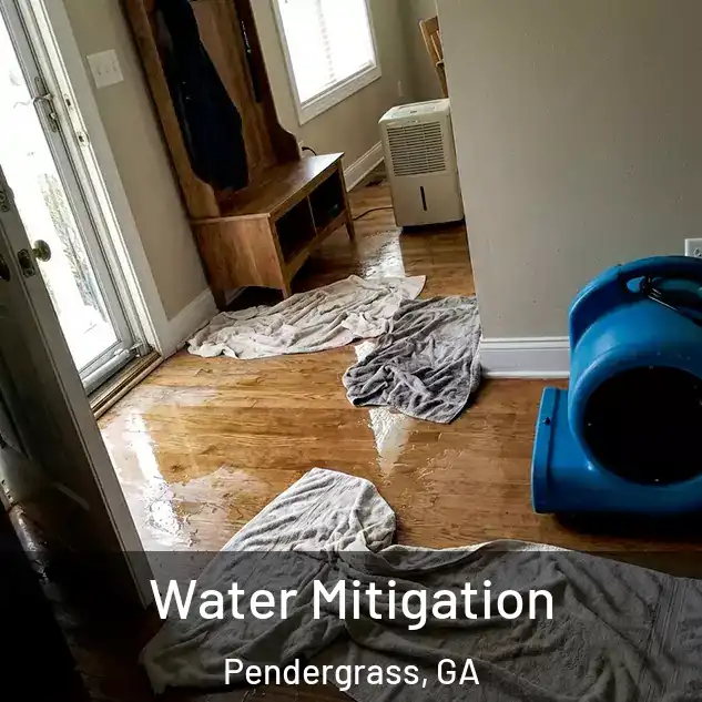  Water Mitigation Pendergrass, GA