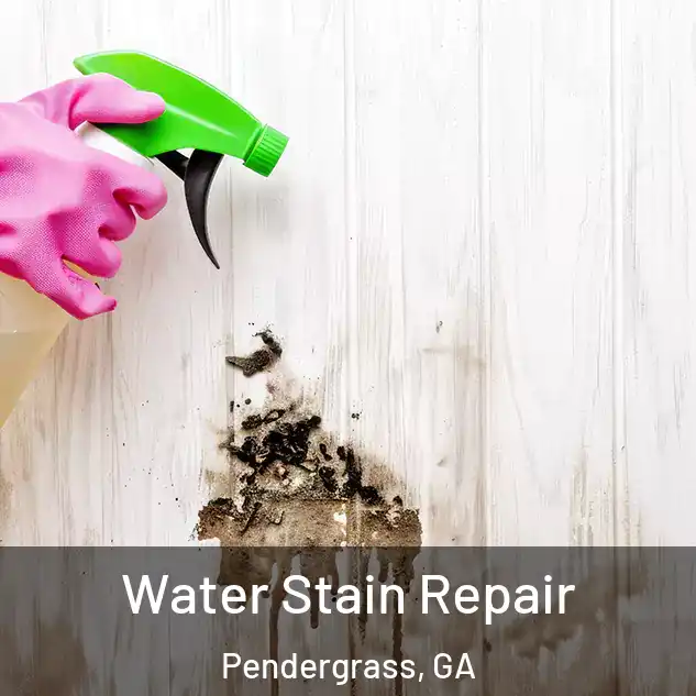  Water Stain Repair Pendergrass, GA