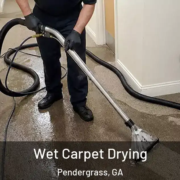  Wet Carpet Drying Pendergrass, GA