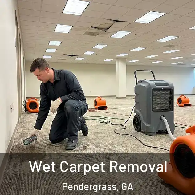 Wet Carpet Removal Pendergrass, GA